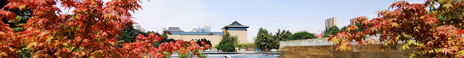 大阳城娱乐